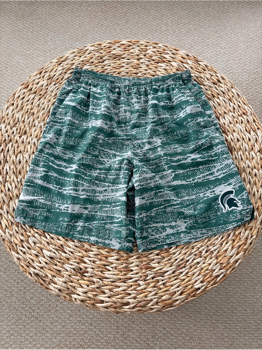 Nike Michigan State Woven Training Shorts with Spartan Logo